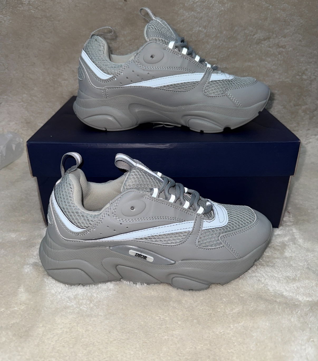 Dior B22
