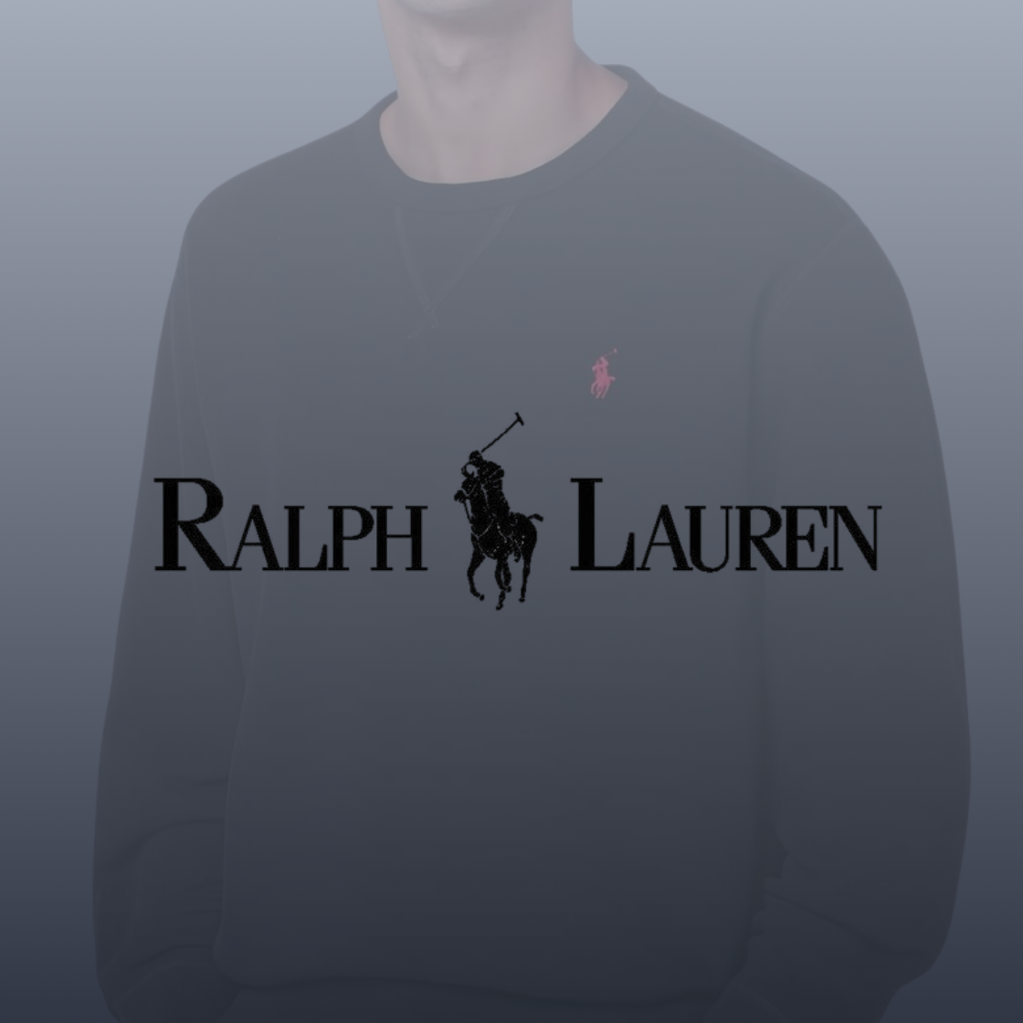 Sudaderas POLO
