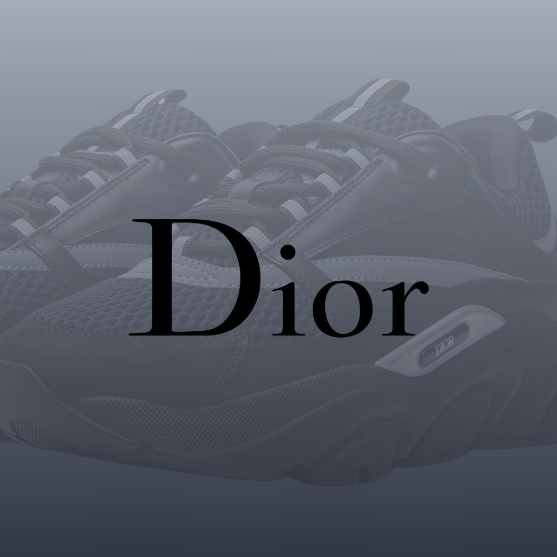 Zapatillas DIOR