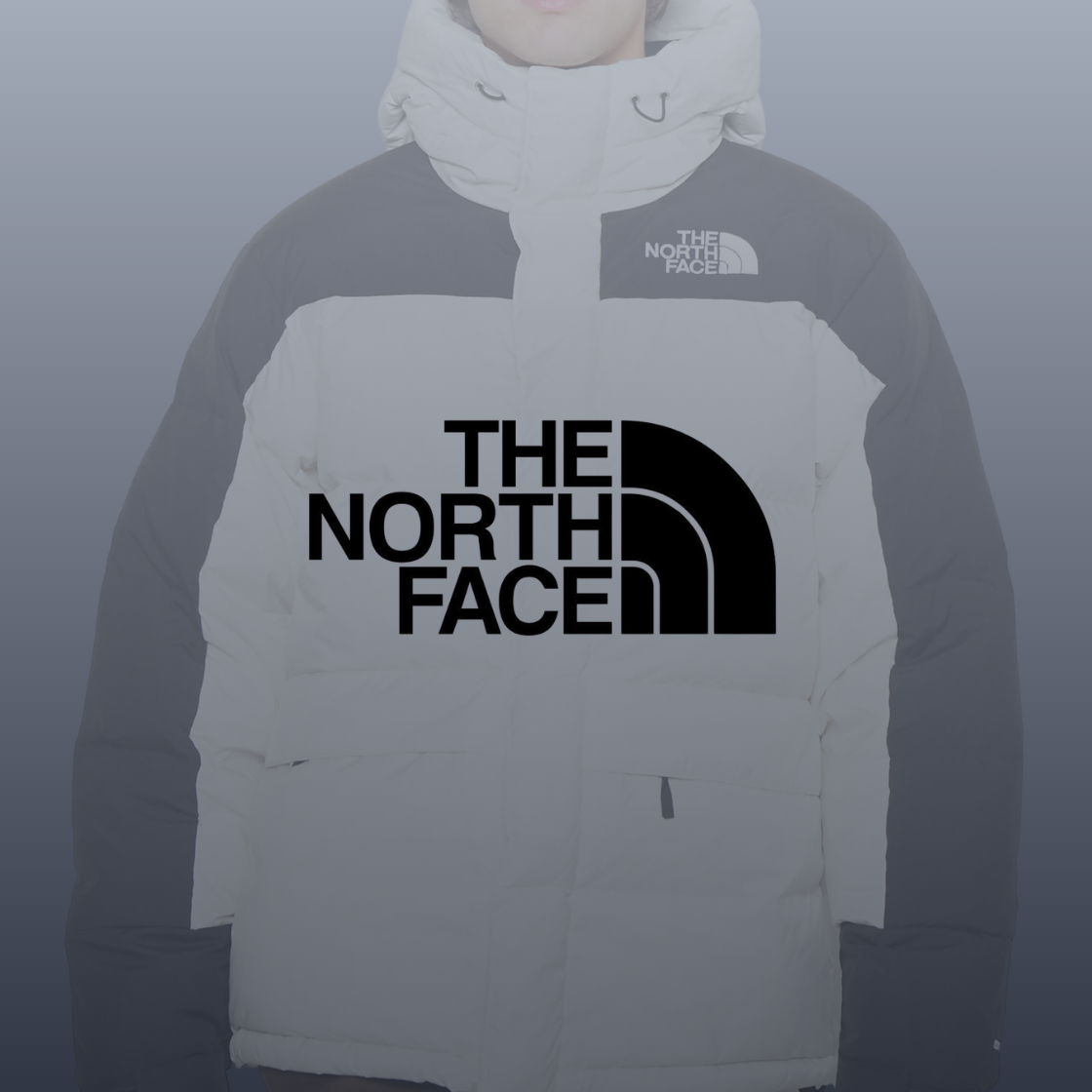 Abrigos The North Face