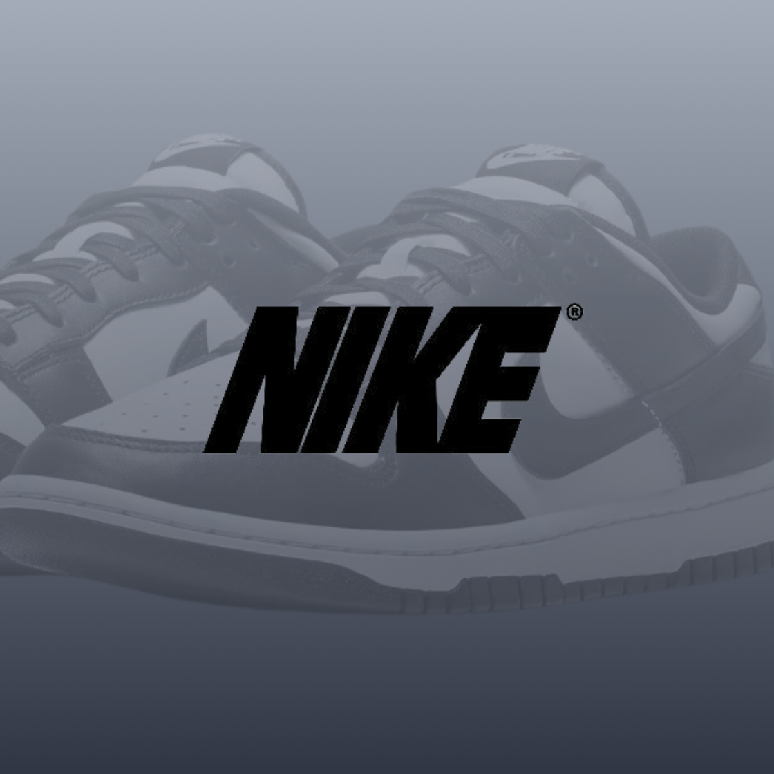 Zapatillas Nike Dunk