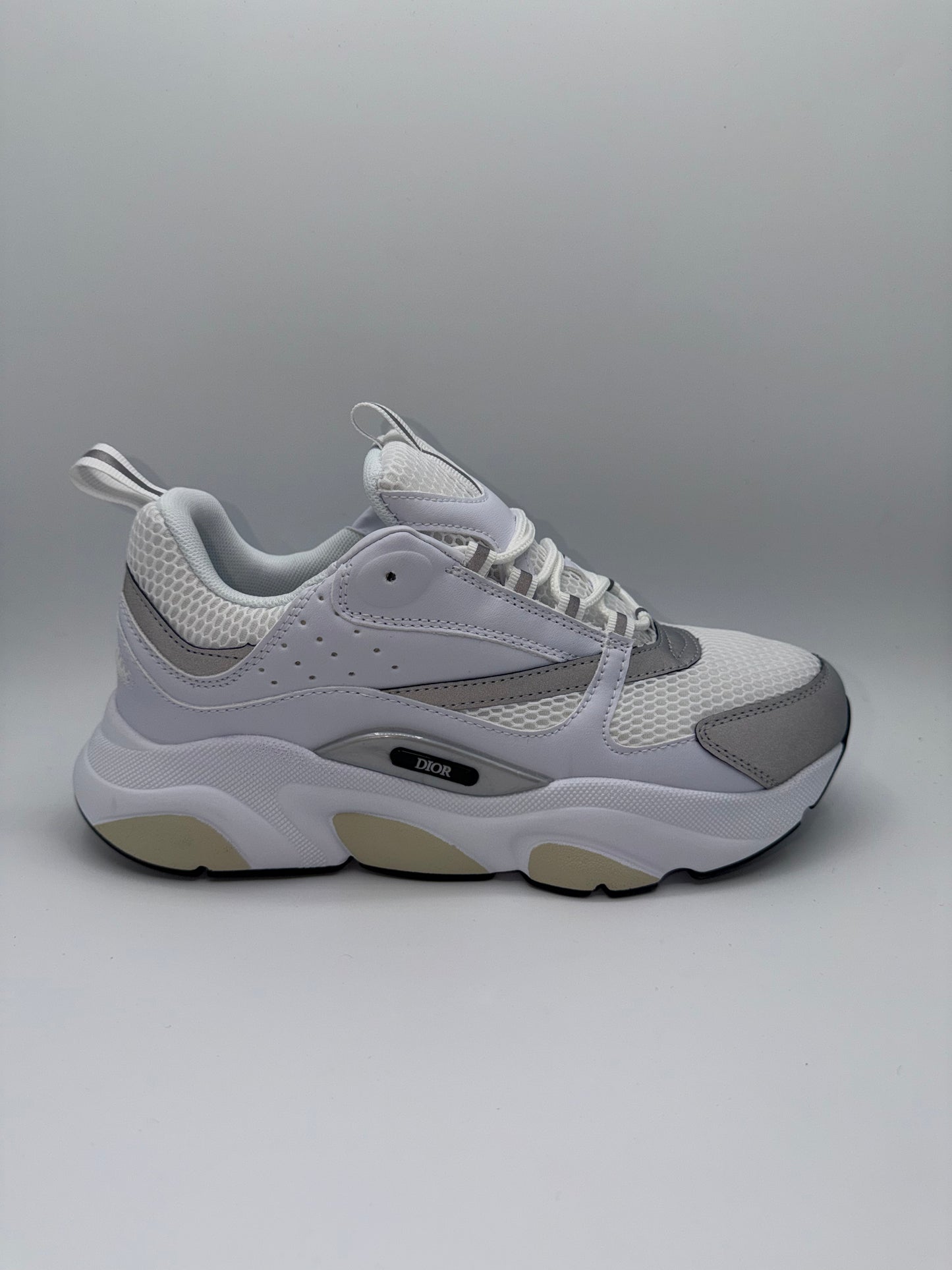 Dior B22